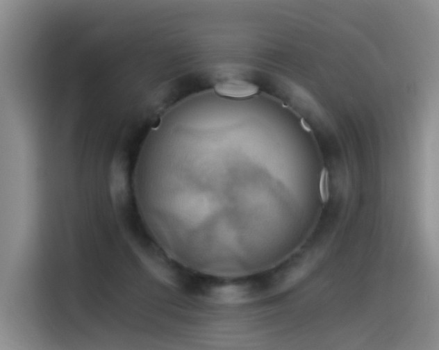 X0000114530312200910191327