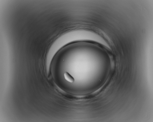 X0000114530313200910191327