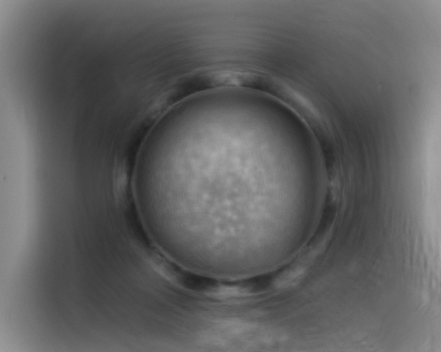 X0000114530314200910191327