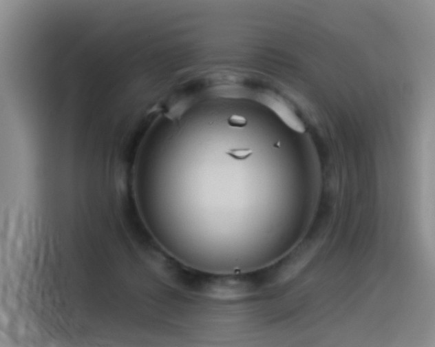 X0000114530315200910191327