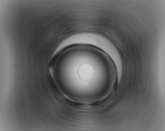 X0000114530316200910191327