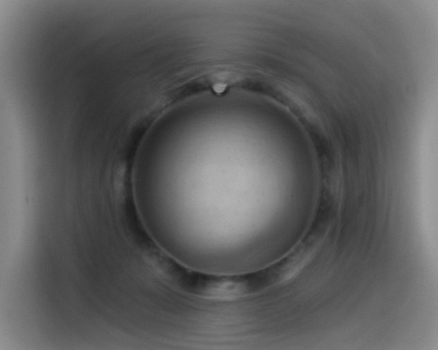 X0000114530319200910191327