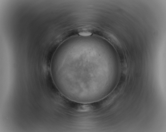 X0000114530324200910191327