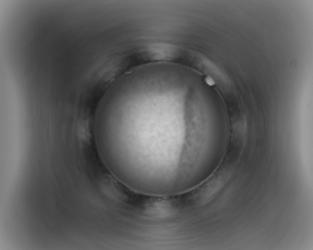 X0000114530325200910191327