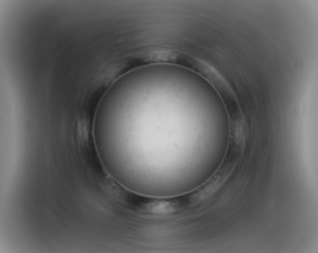X0000114530326200910191327