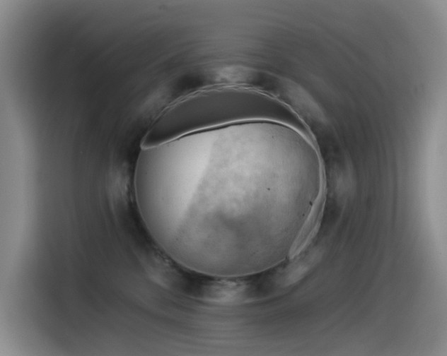X0000114530328200910191327