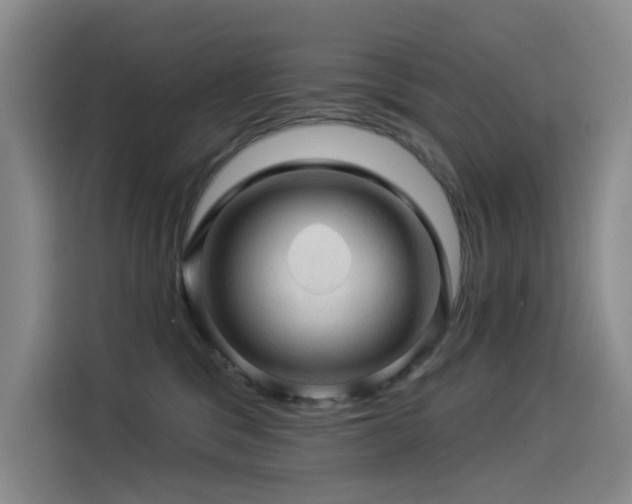 X0000114530329200910191327