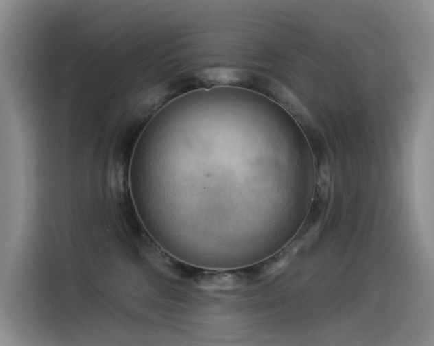 X0000114530330200910191327
