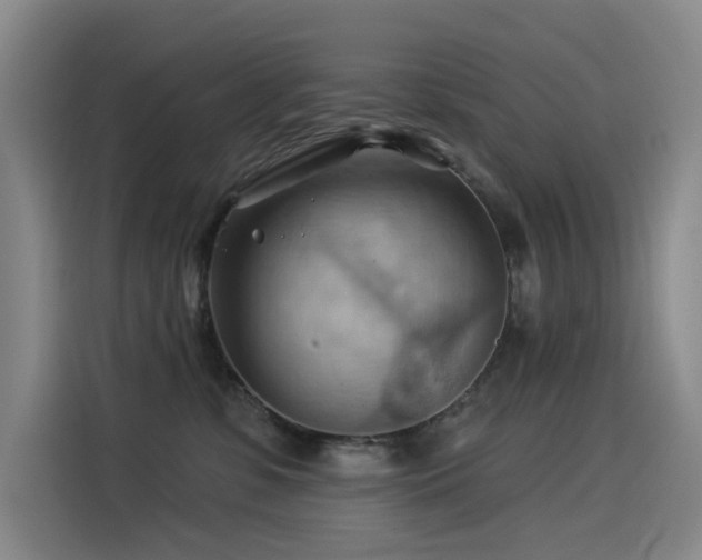 X0000114530331200910191327