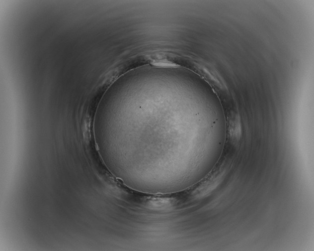 X0000114530332200910191327