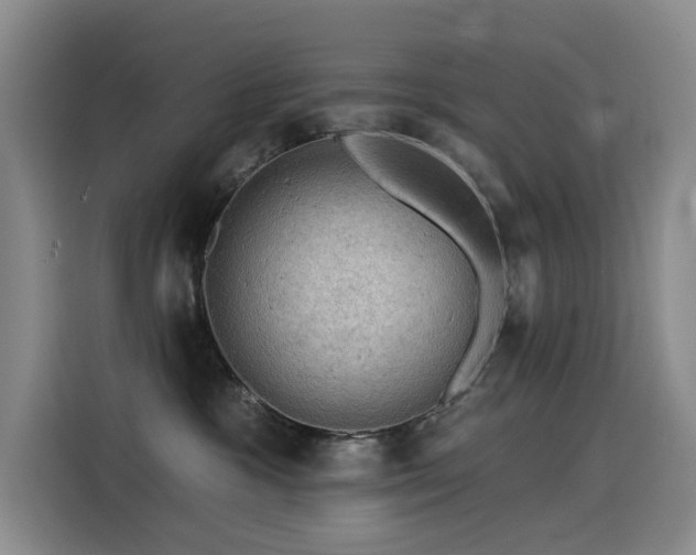 X0000114530333200910191327