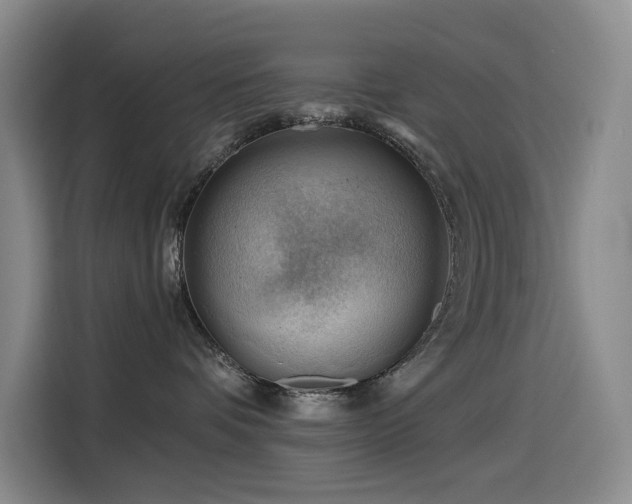 X0000114530336200910191327