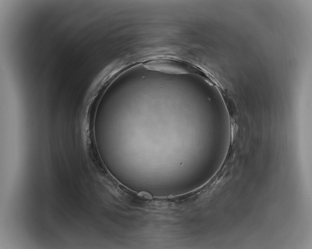 X0000114530339200910191326