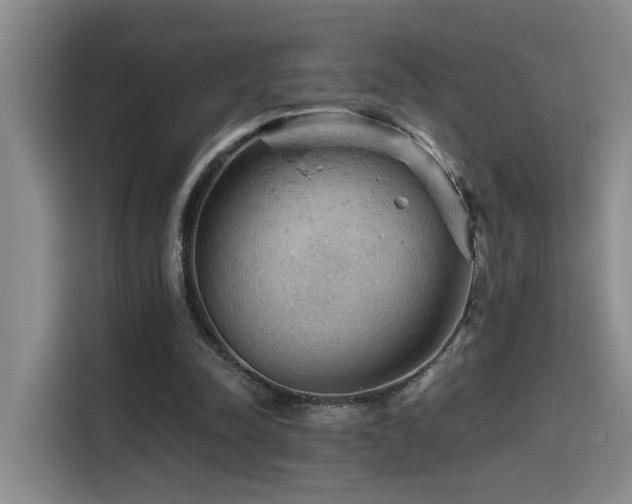 X0000114530342200910191326