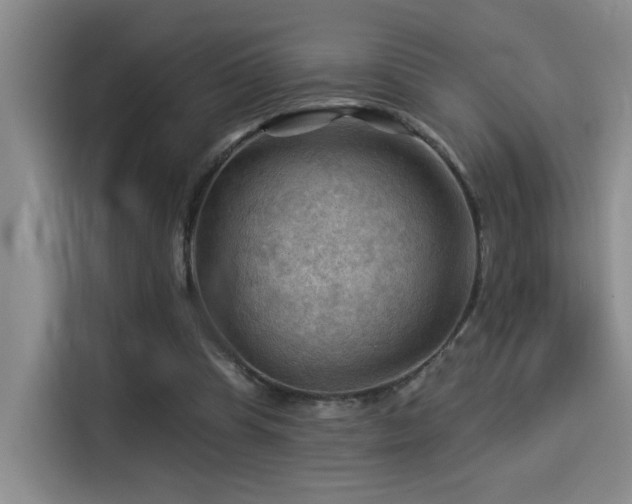 X0000114530345200910191326