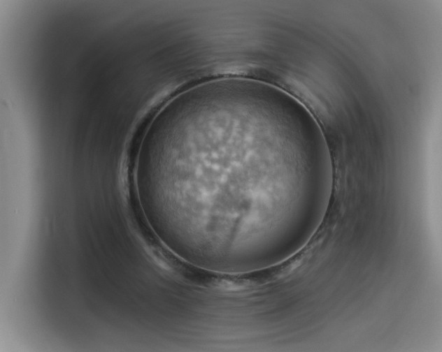 X0000114530346200910191326