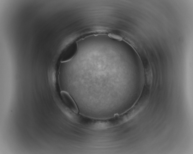 X0000114530350200910191326