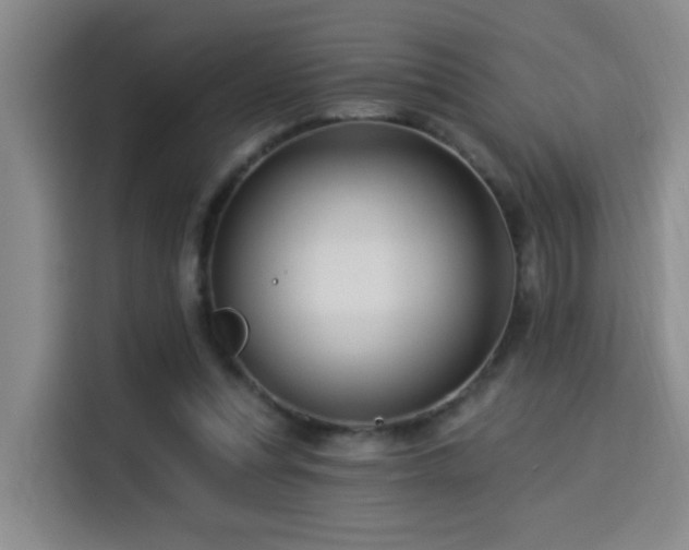 X0000114530351200910191326