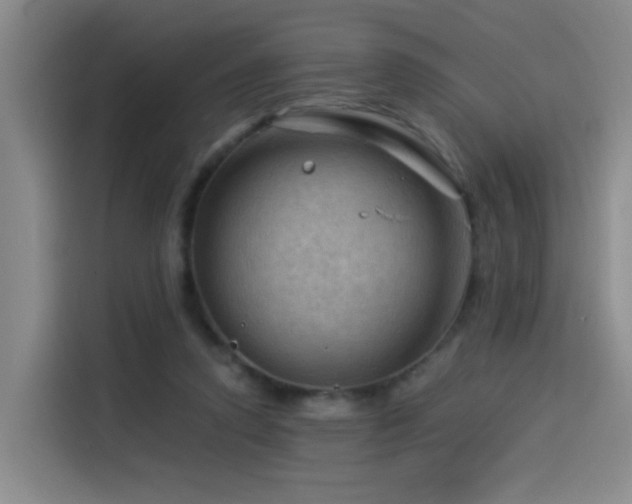 X0000114530354200910191326