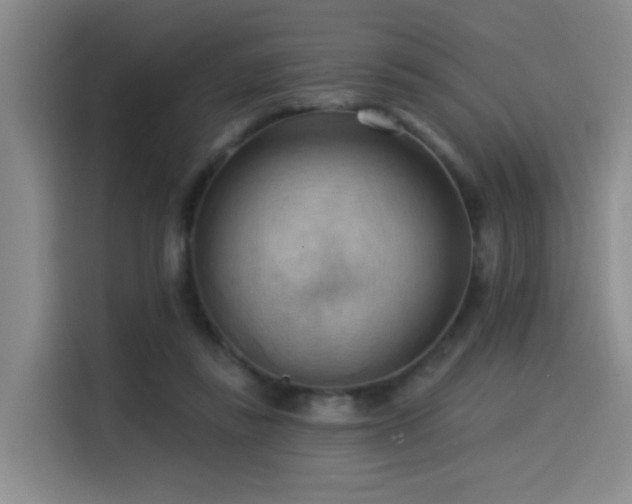 X0000114530355200910191326