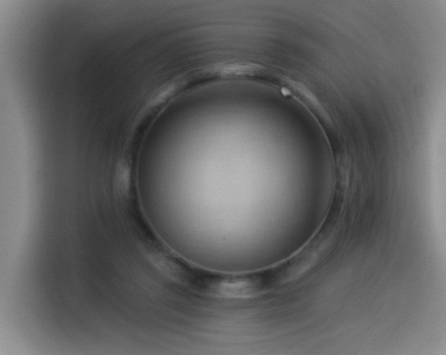X0000114530357200910191326