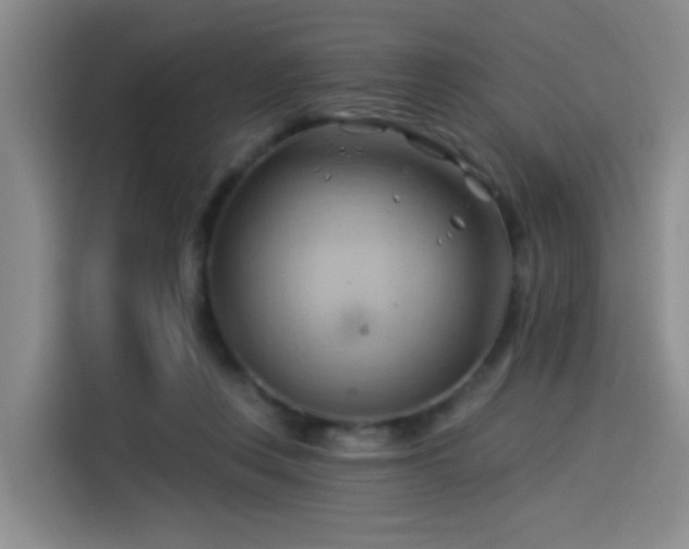 X0000114530359200910191326