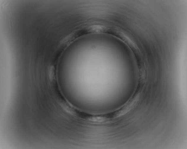 X0000114530361200910191326