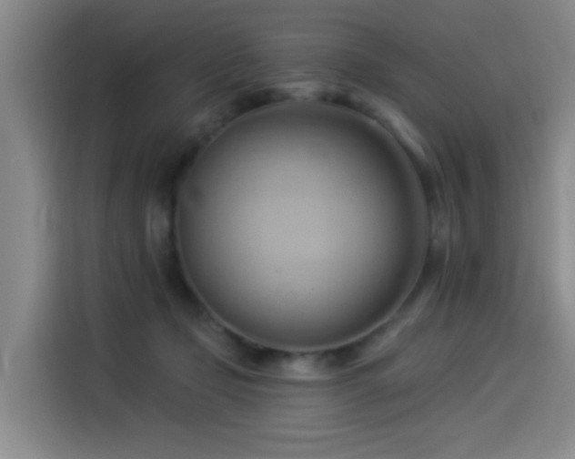 X0000114530365200910191326