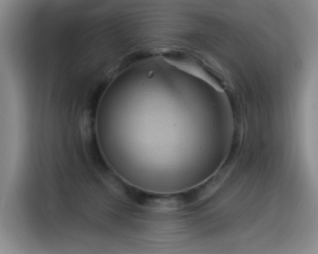 X0000114530366200910191326