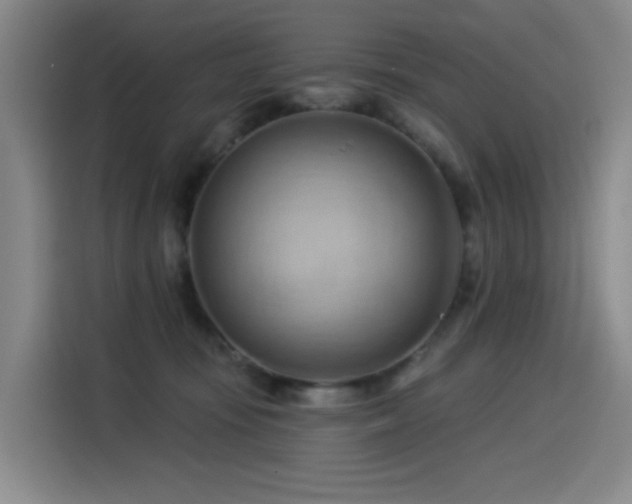 X0000114530371200910191326