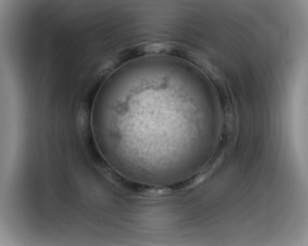 X0000114530375200910191326
