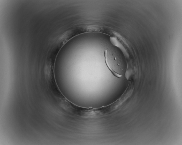 X0000114530379200910191327