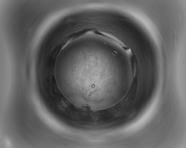 X0000114530382200910191327