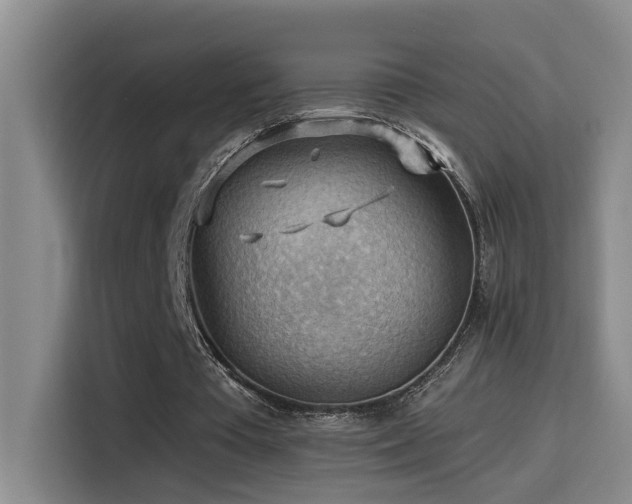 X0000114530385200910191326