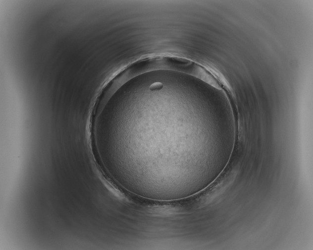 X0000114530389200910191326