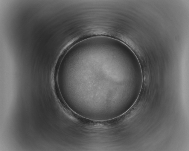 X0000114530390200910191326