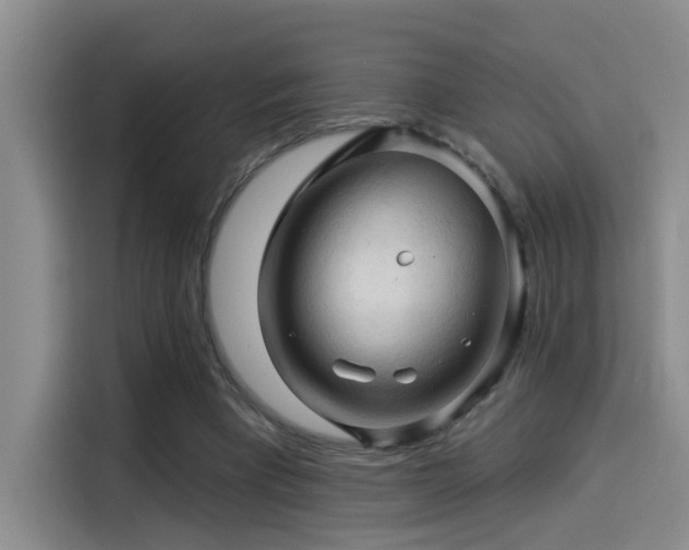 X0000114530393200910191326