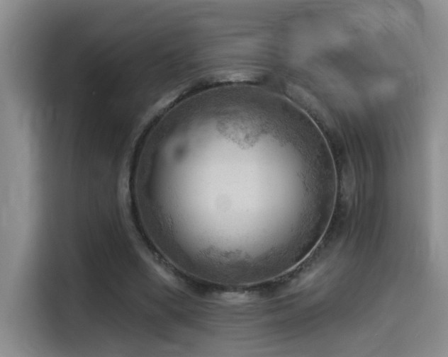 X0000114530394200910191326