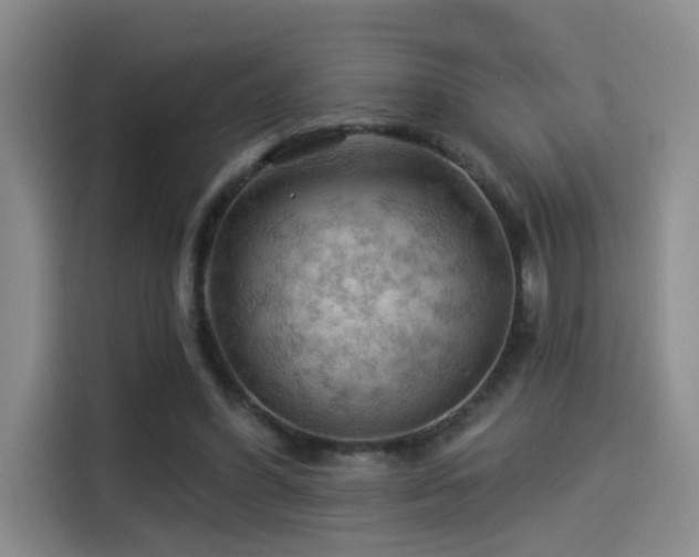 X0000114530396200910191326