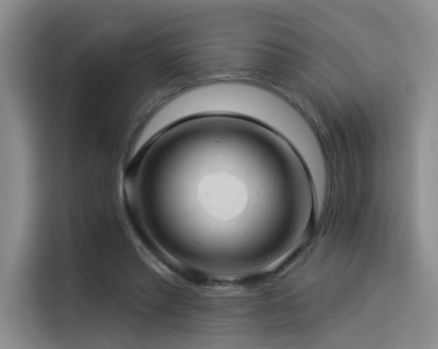 X0000114530397200910191326
