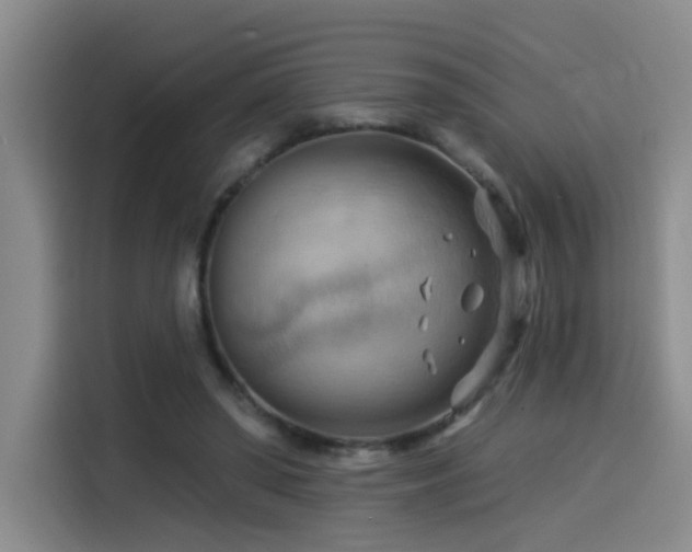 X0000114530398200910191326