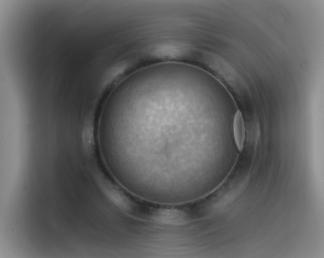 X0000114530399200910191326