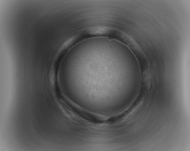 X0000114530400200910191326