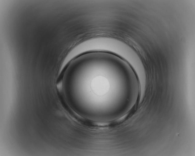 X0000114530401200910191326