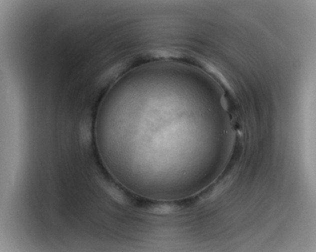 X0000114530402200910191326