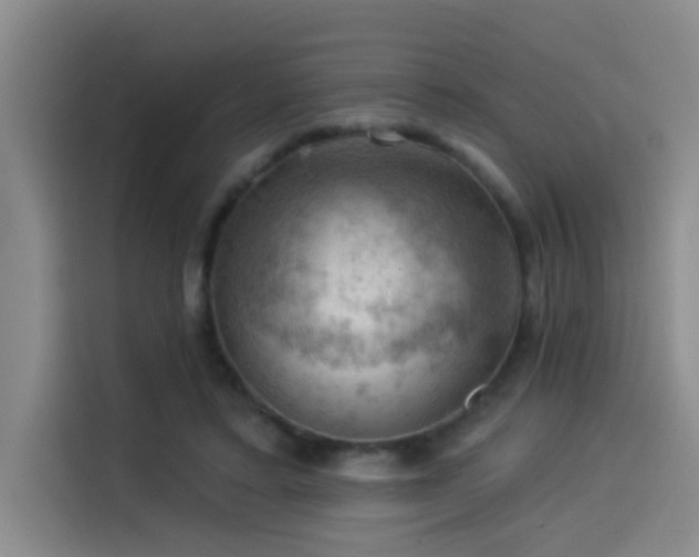 X0000114530403200910191326