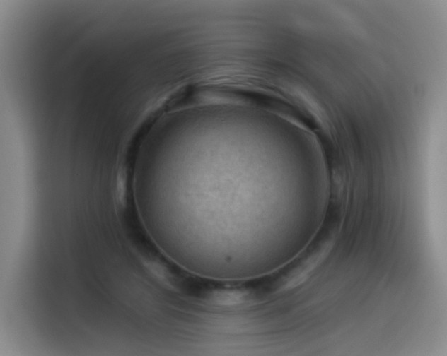 X0000114530404200910191326