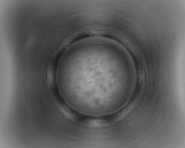 X0000114530408200910191326