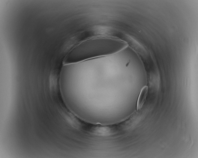 X0000114530409200910191326