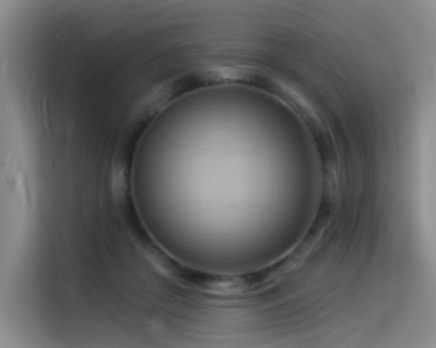 X0000114530410200910191326